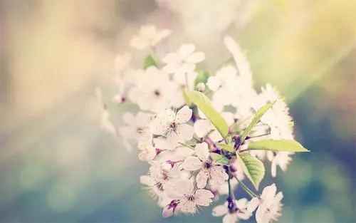 手机号被卖?用户斥天津电信无视个人隐私安全